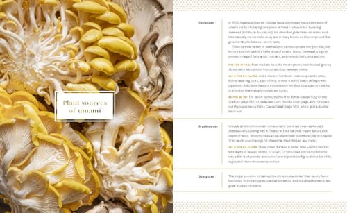 Big Vegan Flavor: Techniques and 150 Recipes to Master Vegan Cooking